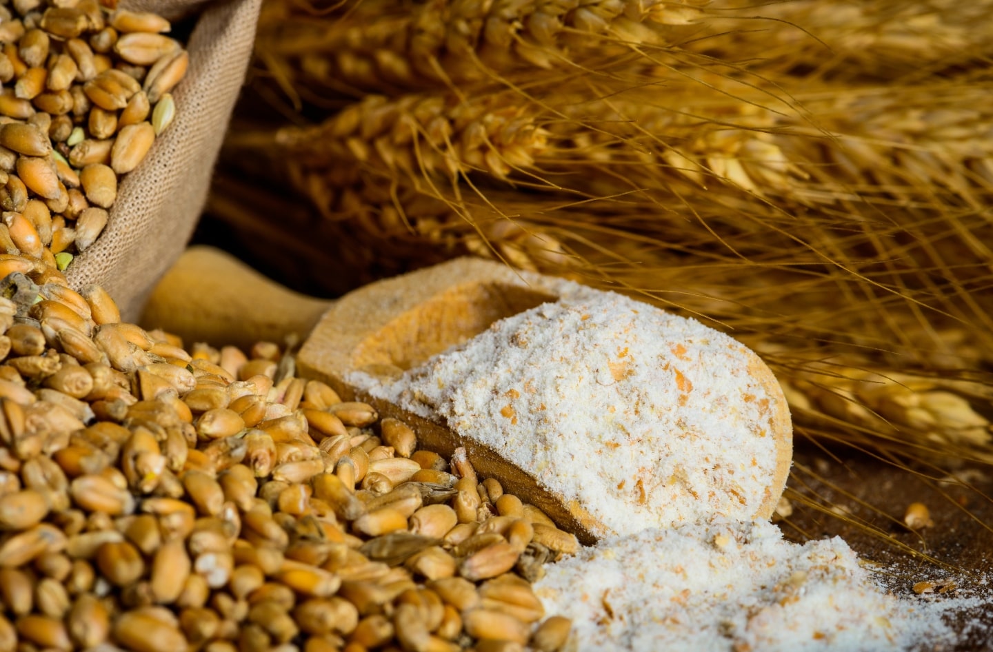 ozonizzatori per i pastifici e i mulini
