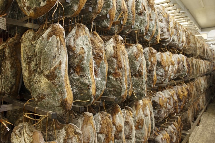 ozonizzatori per i salumifici