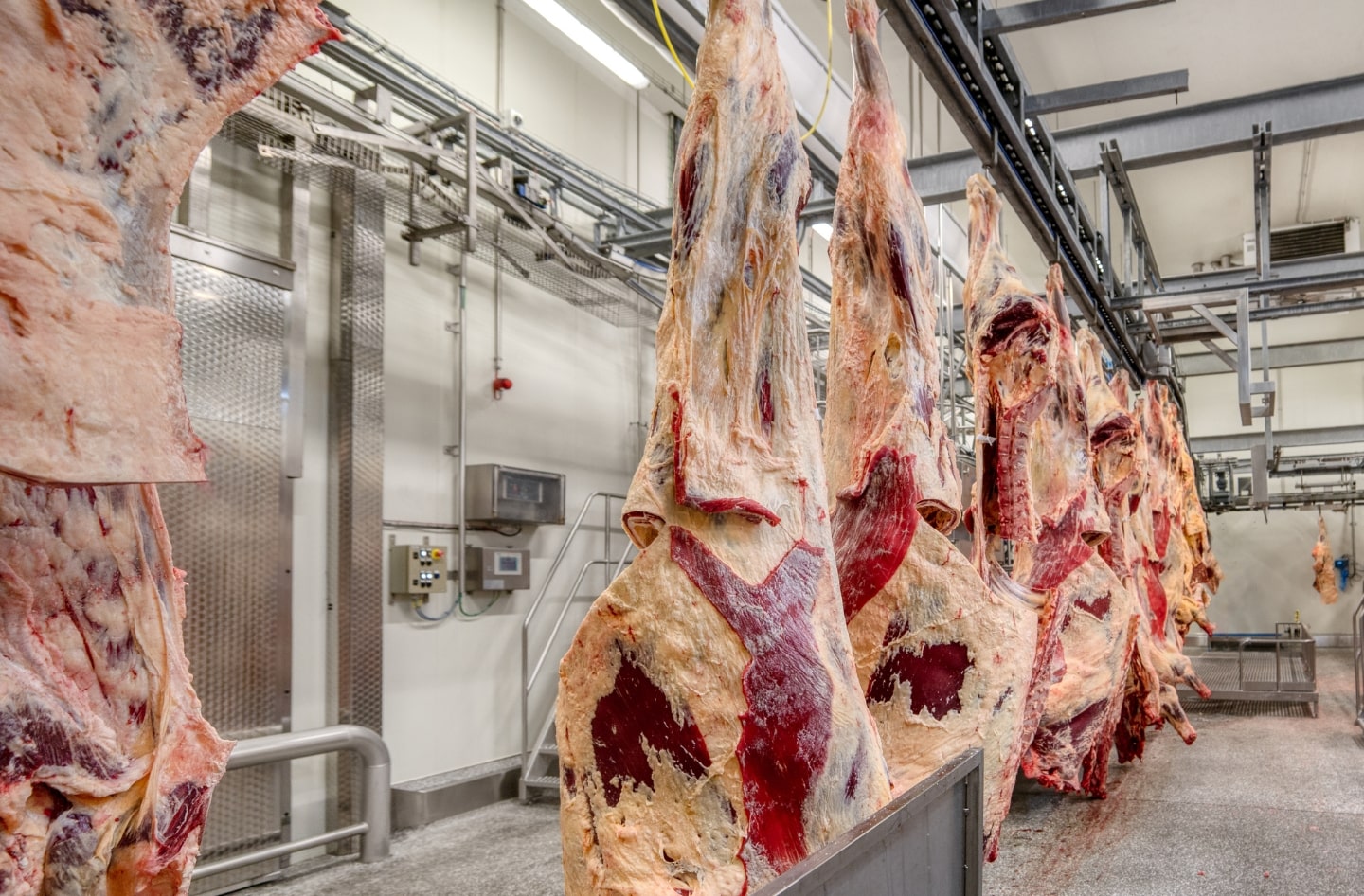 ozonizzatori per la macellazione e il sezionamento