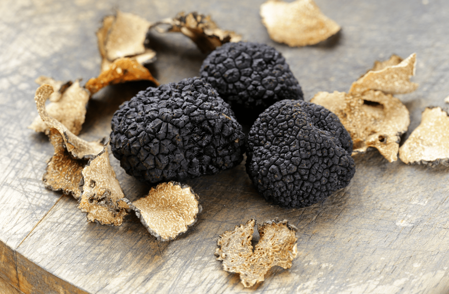 ozonizzatori per funghi e tartufi